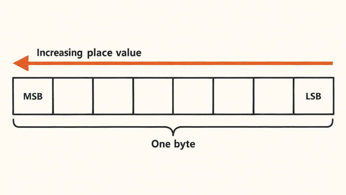 Eight bit positions grouped as a byte, with MSB at the left and LSB at the right.